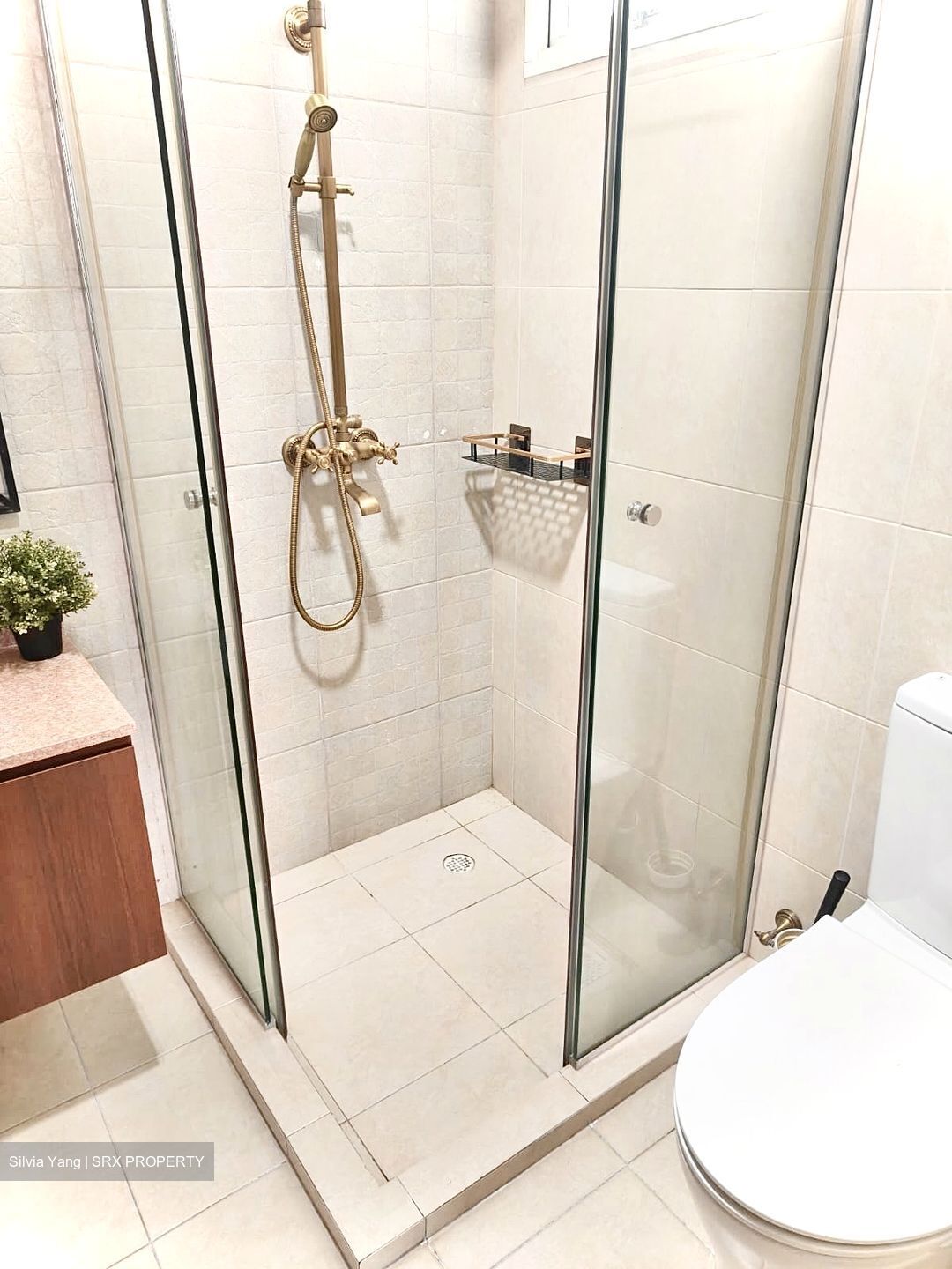 Casablanca (D25), Condominium #603928501